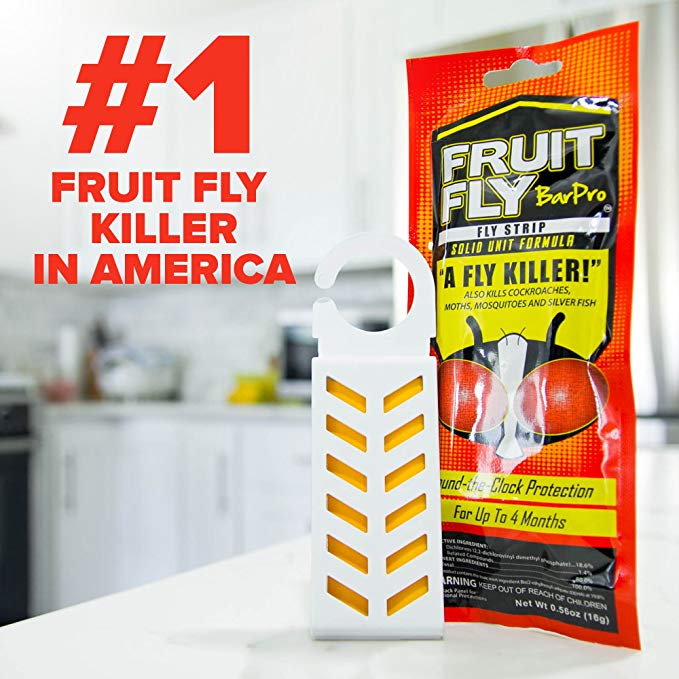Fruit Fly BarPro