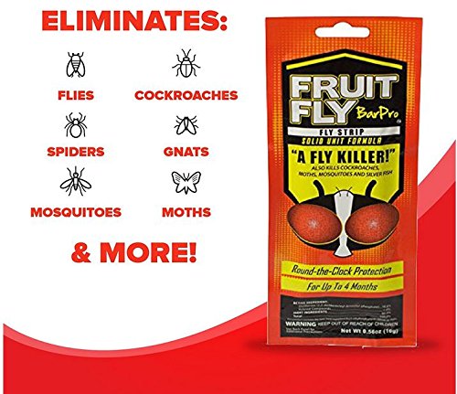 Fruit Fly BarPro - Foodservice Package - 4 Months of Protection